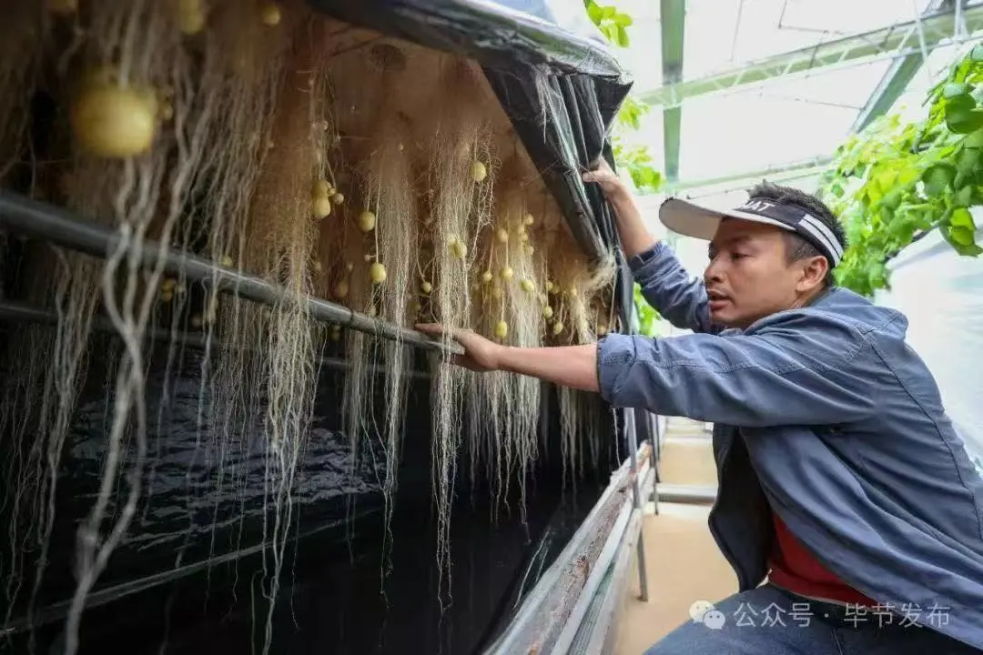 k豆钱包