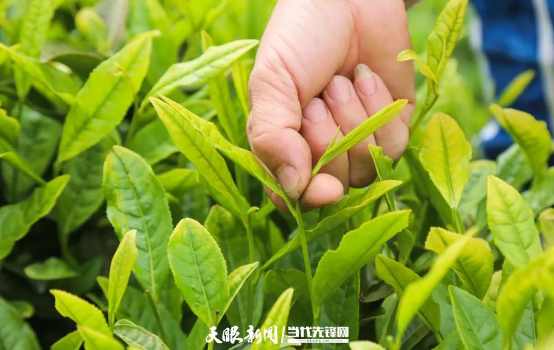 k豆钱包