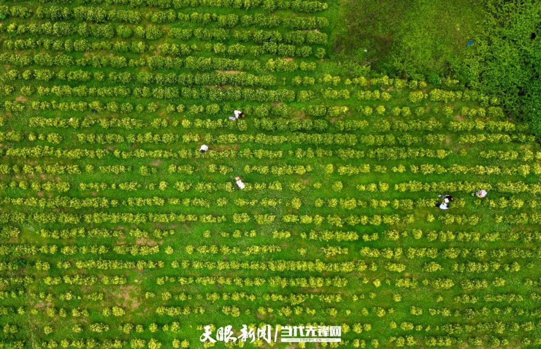 k豆钱包